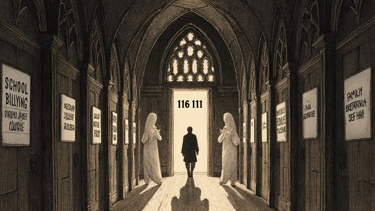 Chlapec jde po dlouhé chodbě k zářícímu vchodu s číslem 116 111, kolem něj dveře s strachy.